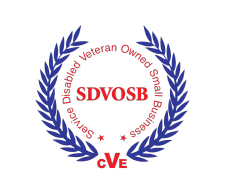 SDVOSB 1