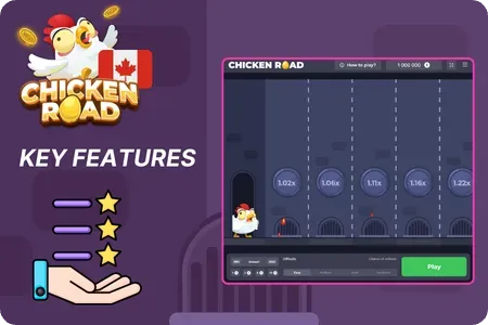 Poultry Roadway Game in India